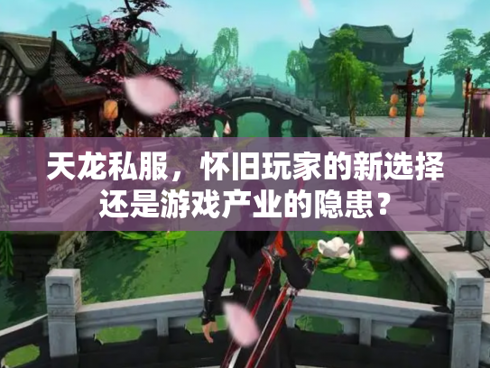 天龙私服，怀旧玩家的新选择还是游戏产业的隐患？