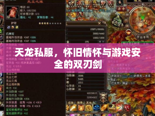 天龙私服，怀旧情怀与游戏安全的双刃剑