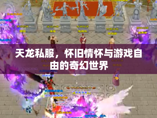 天龙私服，怀旧情怀与游戏自由的奇幻世界