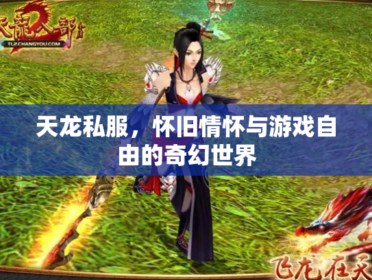 天龙私服，怀旧情怀与游戏自由的奇幻世界