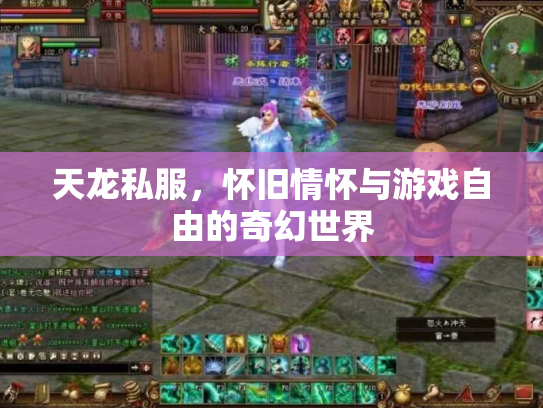 天龙私服，怀旧情怀与游戏自由的奇幻世界