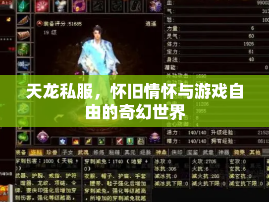 天龙私服，怀旧情怀与游戏自由的奇幻世界