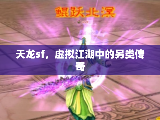 天龙sf，虚拟江湖中的另类传奇