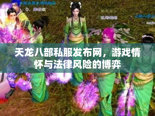 天龙八部私服发布网，游戏情怀与法律风险的博弈