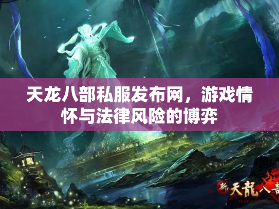 天龙八部私服发布网，游戏情怀与法律风险的博弈