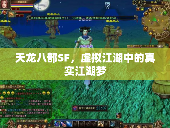 天龙八部SF，虚拟江湖中的真实江湖梦