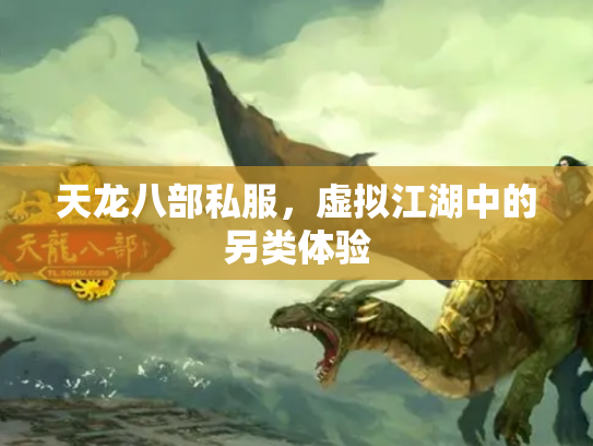 天龙八部私服，虚拟江湖中的另类体验