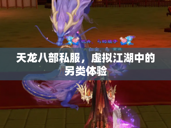 天龙八部私服，虚拟江湖中的另类体验