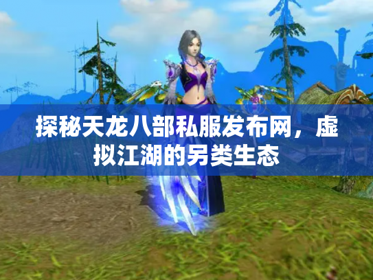 探秘天龙八部私服发布网，虚拟江湖的另类生态
