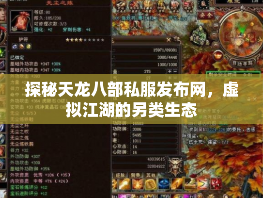 探秘天龙八部私服发布网，虚拟江湖的另类生态