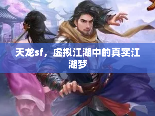 天龙sf，虚拟江湖中的真实江湖梦