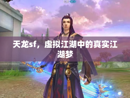 天龙sf，虚拟江湖中的真实江湖梦
