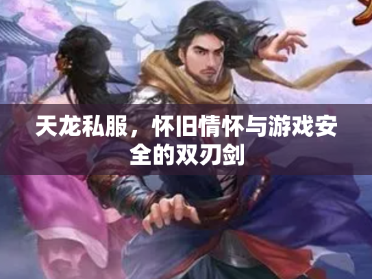 天龙私服，怀旧情怀与游戏安全的双刃剑