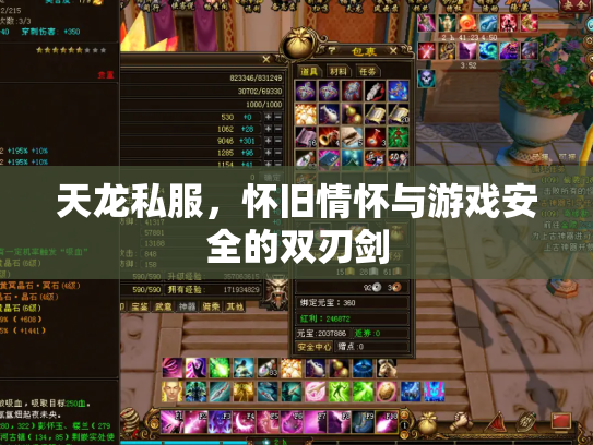 天龙私服，怀旧情怀与游戏安全的双刃剑