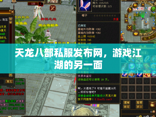 天龙八部私服发布网，游戏江湖的另一面