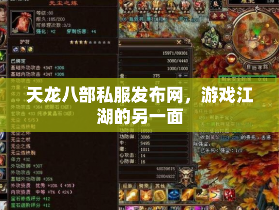 天龙八部私服发布网，游戏江湖的另一面