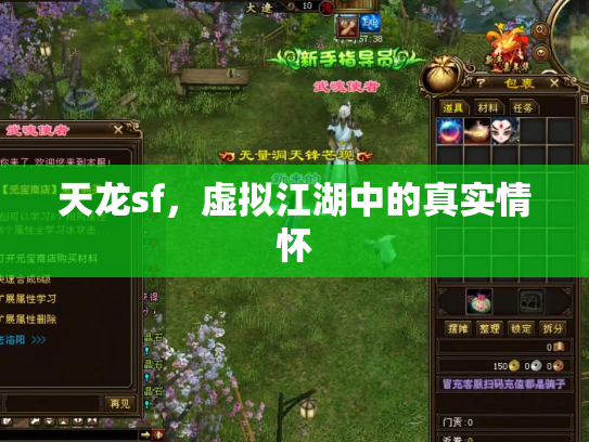 天龙sf，虚拟江湖中的真实情怀
