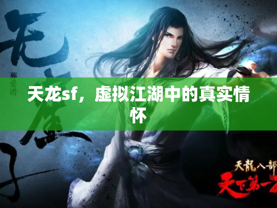天龙sf，虚拟江湖中的真实情怀