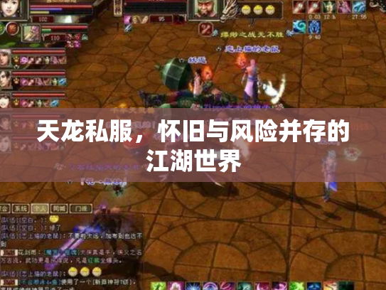 天龙私服，怀旧与风险并存的江湖世界