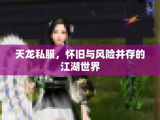 天龙私服，怀旧与风险并存的江湖世界