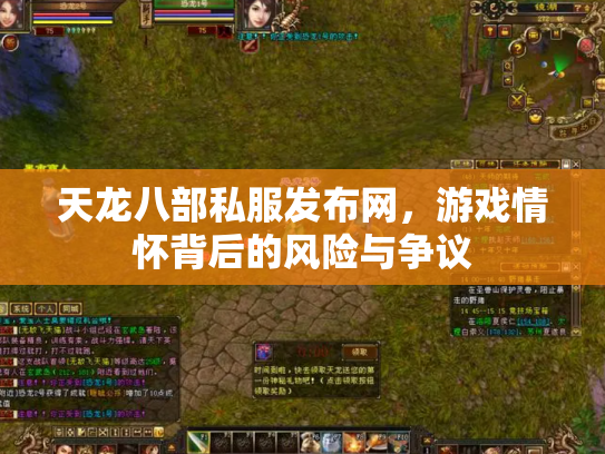 天龙八部私服发布网，游戏情怀背后的风险与争议