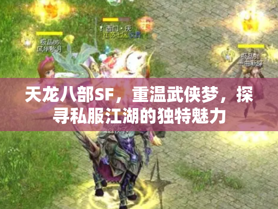 天龙八部SF，重温武侠梦，探寻私服江湖的独特魅力