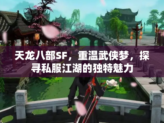 天龙八部SF，重温武侠梦，探寻私服江湖的独特魅力