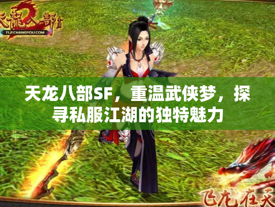 天龙八部SF，重温武侠梦，探寻私服江湖的独特魅力