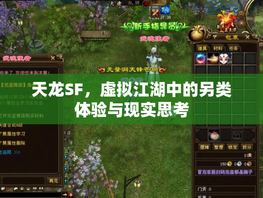 天龙SF，虚拟江湖中的另类体验与现实思考