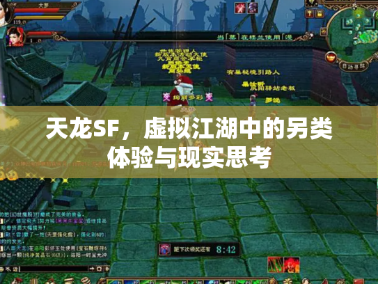 天龙SF，虚拟江湖中的另类体验与现实思考
