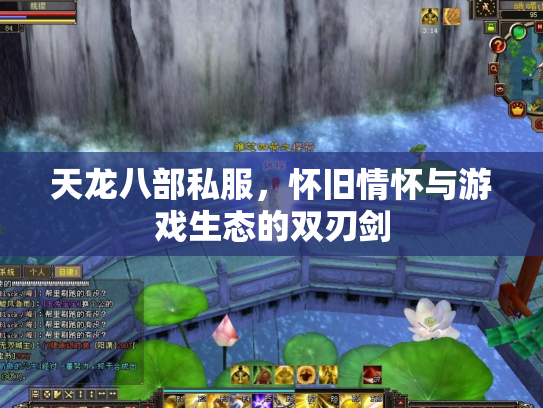 天龙八部私服，怀旧情怀与游戏生态的双刃剑
