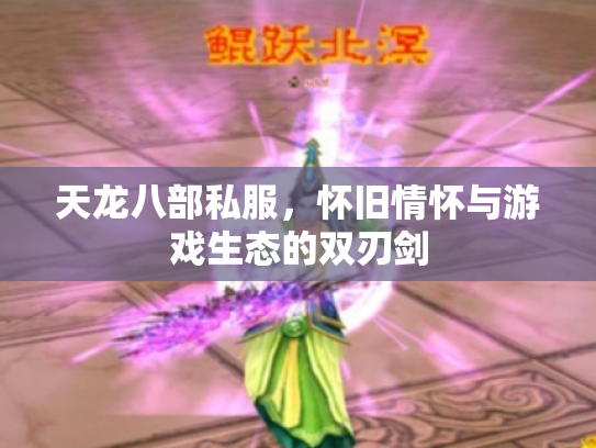 天龙八部私服，怀旧情怀与游戏生态的双刃剑
