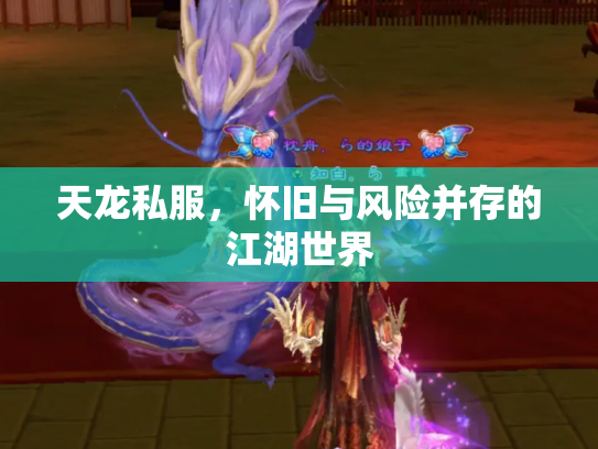 天龙私服，怀旧与风险并存的江湖世界