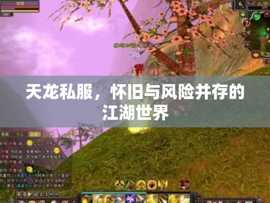 天龙私服，怀旧与风险并存的江湖世界