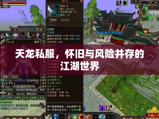 天龙私服，怀旧与风险并存的江湖世界