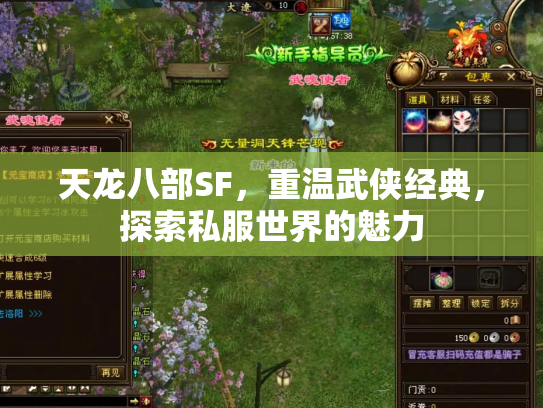 天龙八部SF，重温武侠经典，探索私服世界的魅力