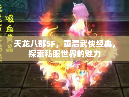 天龙八部SF，重温武侠经典，探索私服世界的魅力