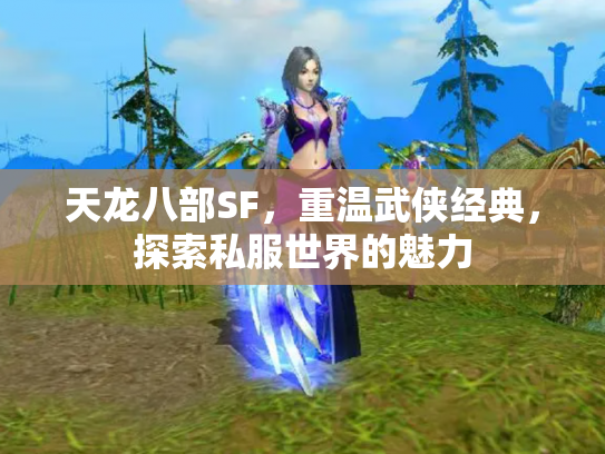 天龙八部SF，重温武侠经典，探索私服世界的魅力