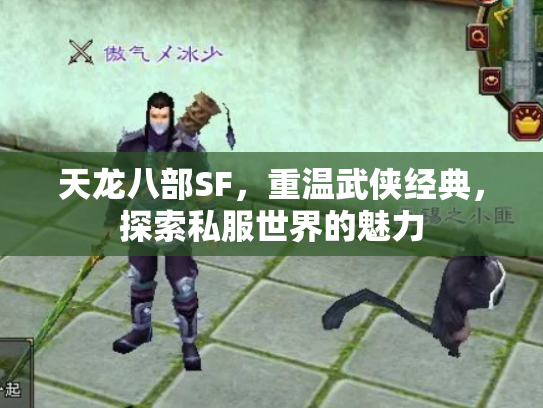天龙八部SF，重温武侠经典，探索私服世界的魅力