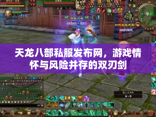 天龙八部私服发布网，游戏情怀与风险并存的双刃剑