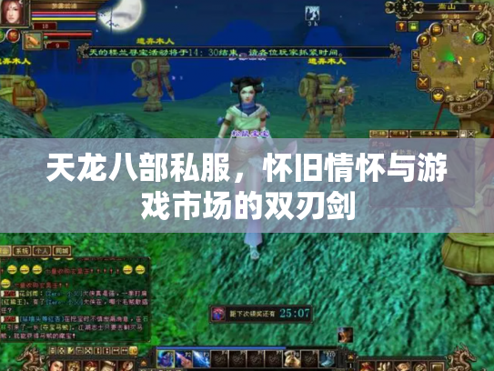 天龙八部私服，怀旧情怀与游戏市场的双刃剑