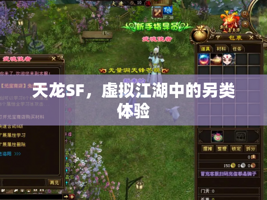 天龙SF，虚拟江湖中的另类体验