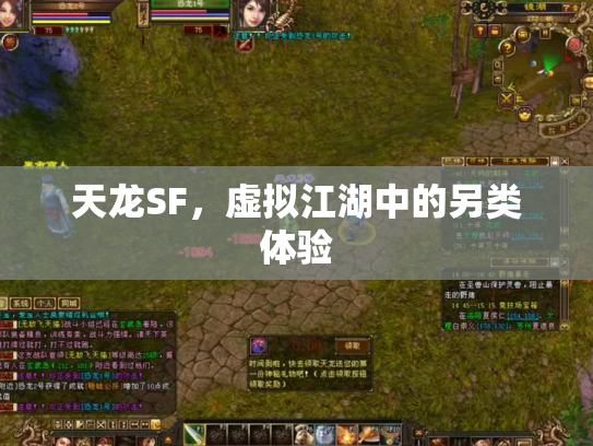 天龙SF，虚拟江湖中的另类体验
