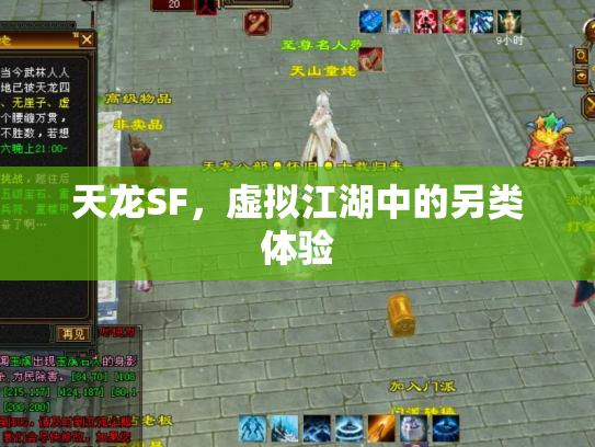 天龙SF，虚拟江湖中的另类体验