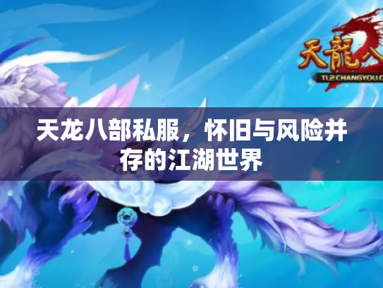 天龙八部私服，怀旧与风险并存的江湖世界