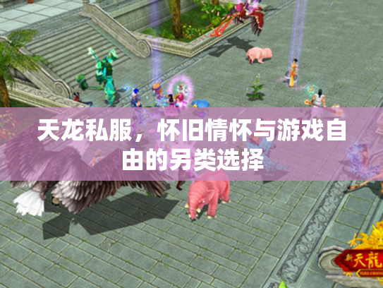 天龙私服，怀旧情怀与游戏自由的另类选择