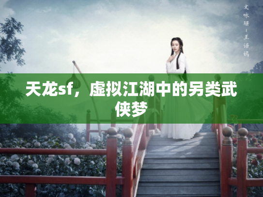 天龙sf，虚拟江湖中的另类武侠梦