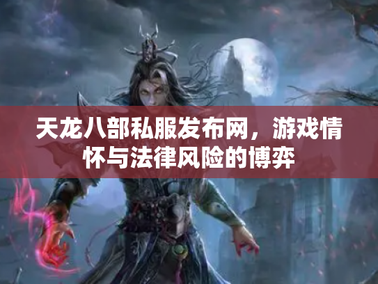 天龙八部私服发布网，游戏情怀与法律风险的博弈