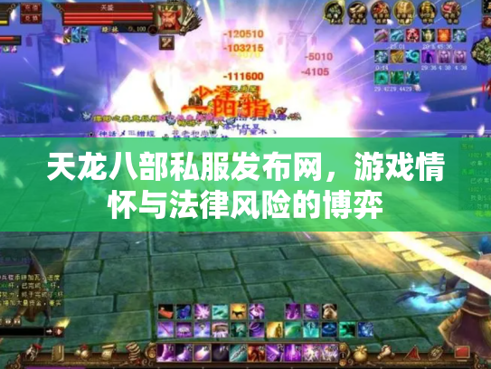 天龙八部私服发布网，游戏情怀与法律风险的博弈