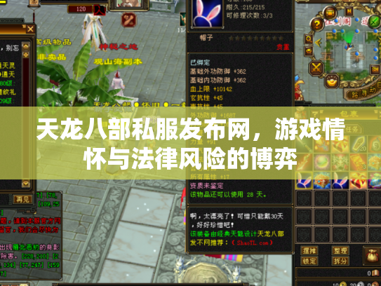 天龙八部私服发布网，游戏情怀与法律风险的博弈